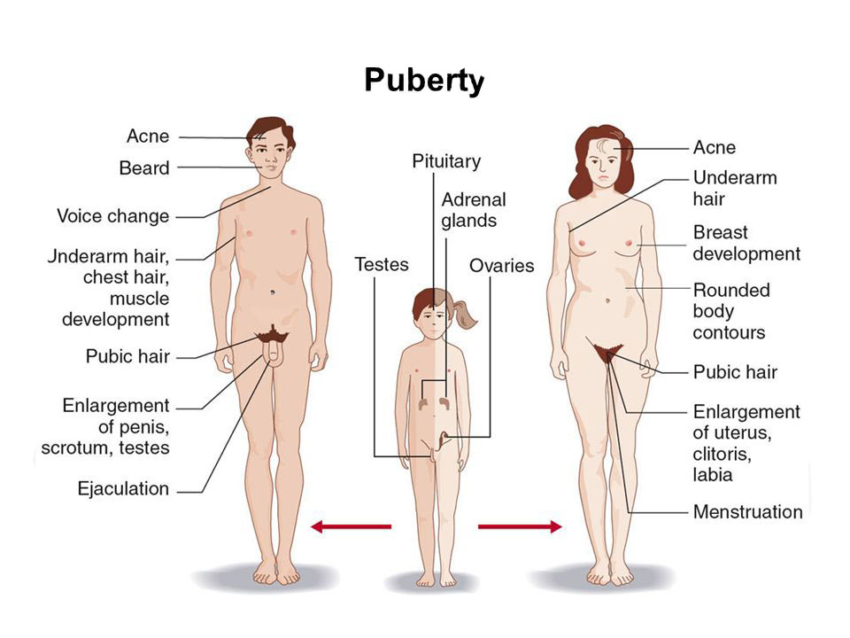 Puberty and Sex Treatment in Pune